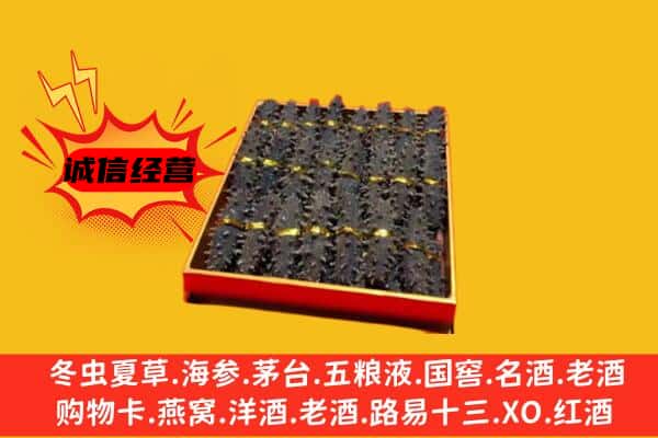 张家界武陵源区回收海参